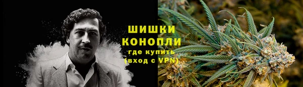 стаф Надым