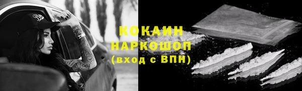 стаф Надым