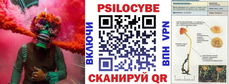Псилоцибиновые грибы мицелий  Пикалёво 